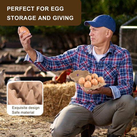 Bulk 40-pack egg cartons ready for coop, market, or home use.