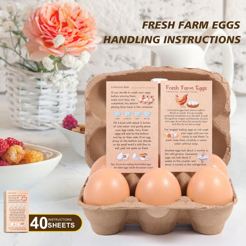 Carton dimensions 6.1 x 4.5 x 2.76 inches for standard eggs.