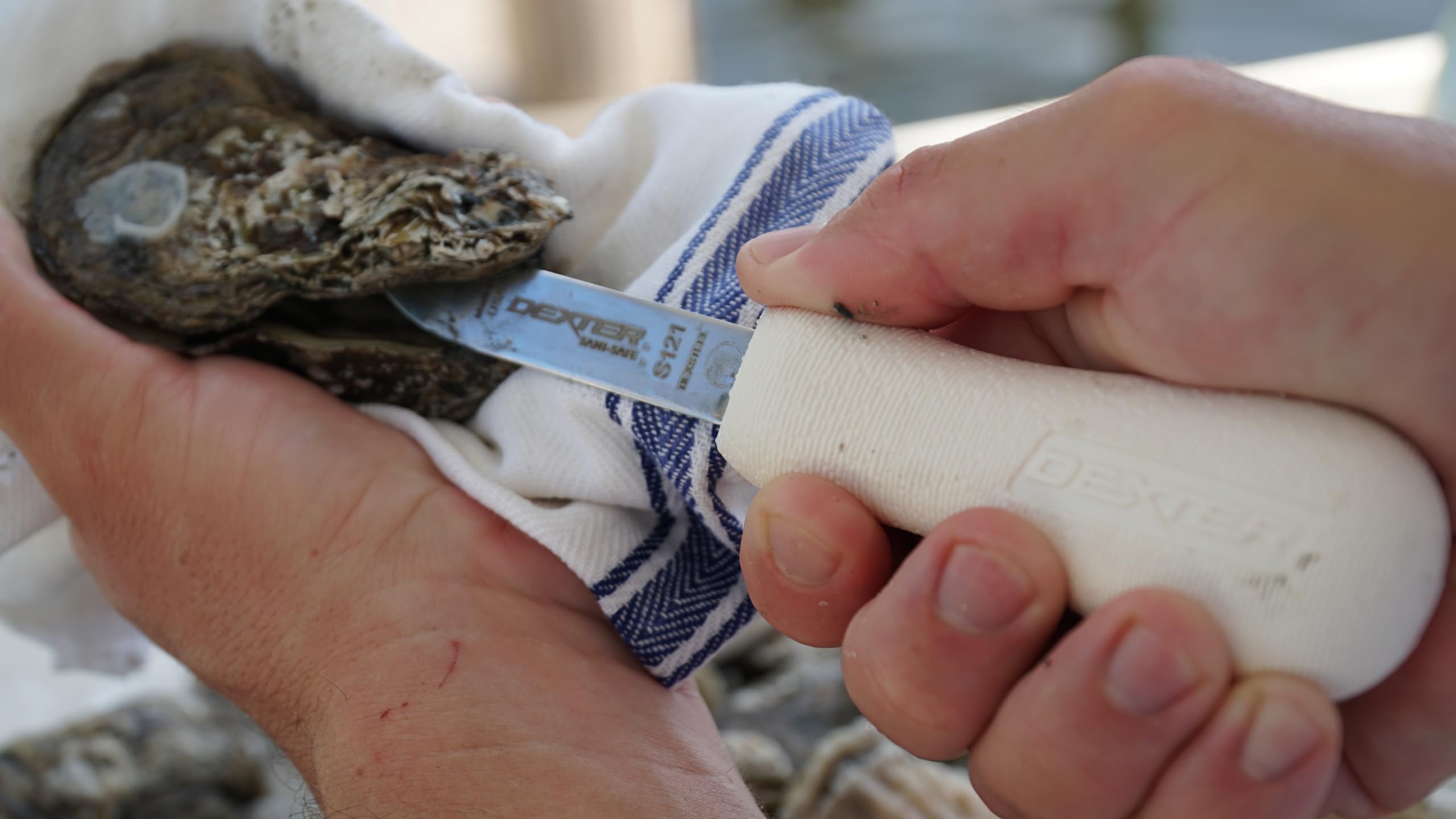 Dexter Outdoors Easy care instruction: hand wash and dry after use.