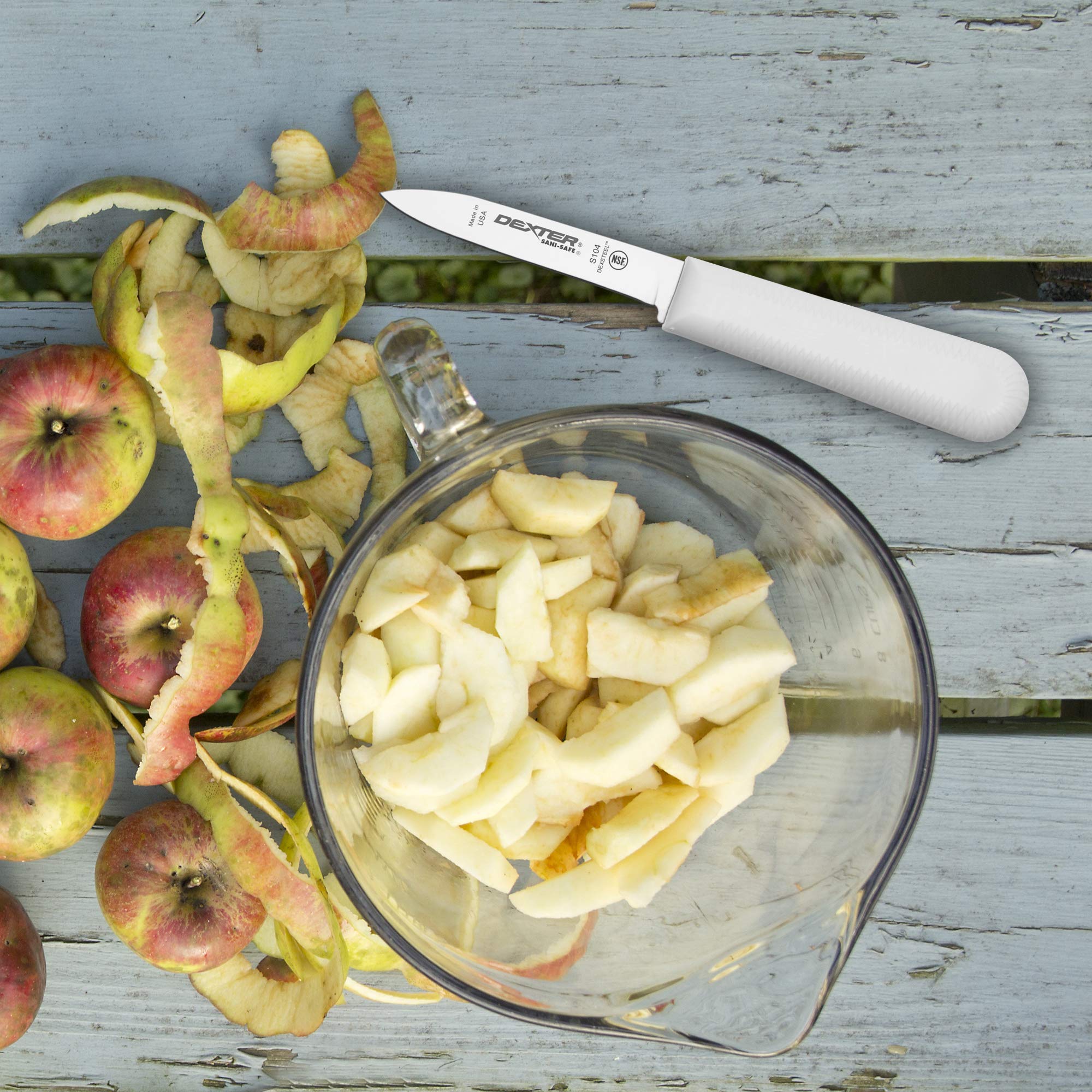 Dexter-Russell Sani-Safe paring knife close-up showing ergonomic slip-resistant handle.