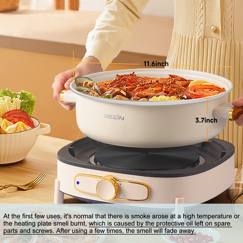 DEZIN shabu shabu pot showing 1500W multi-power for versatile cooking.