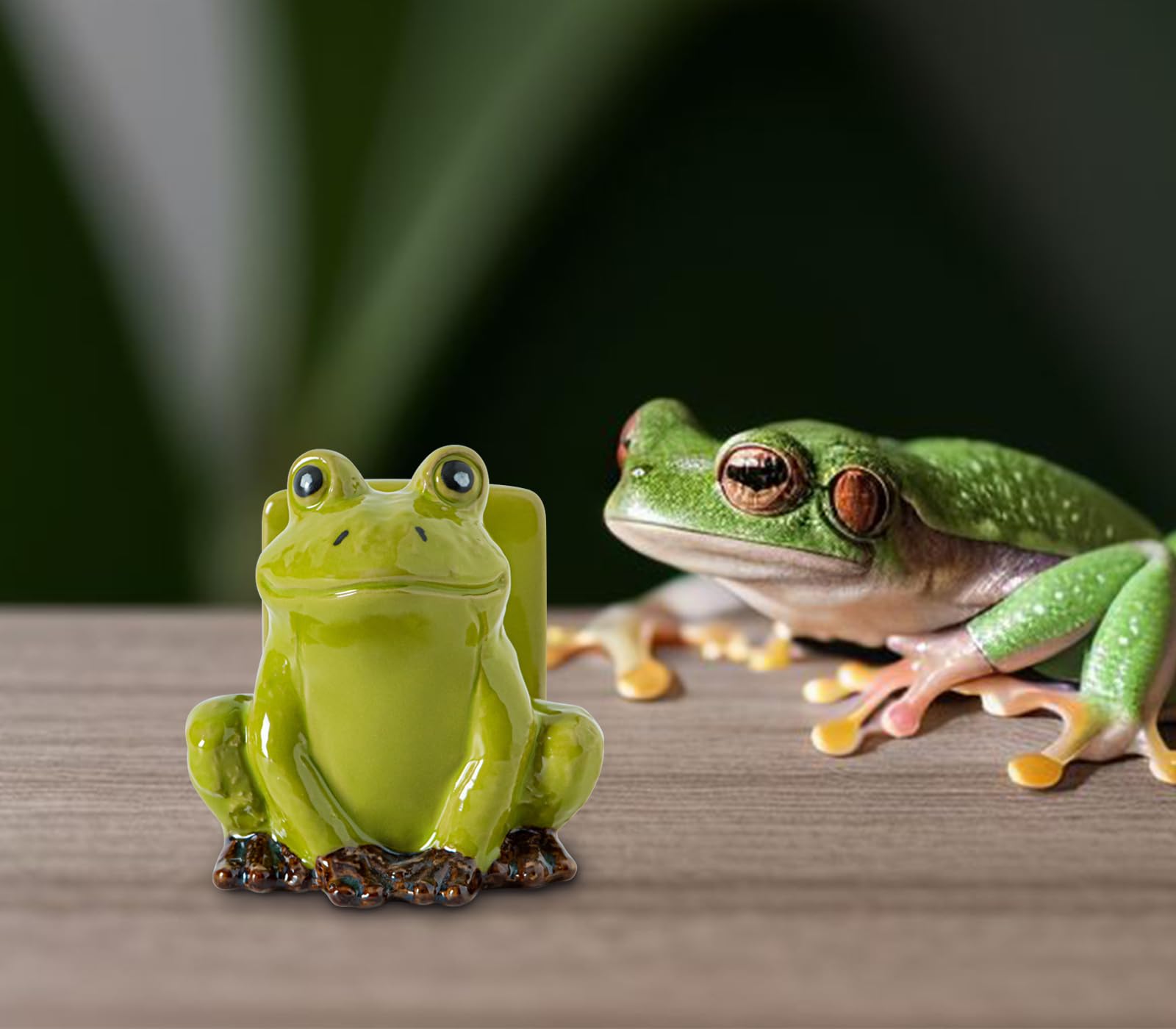 dgudgu Frog Sponge Holder easy-clean finish for quick maintenance.