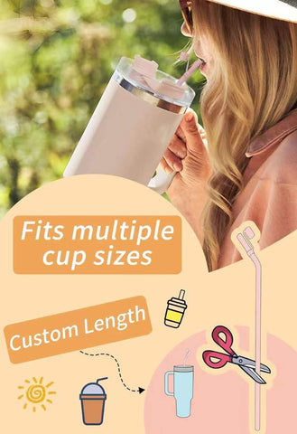 Pack of 6 reusable straws by Doboli, travel friendly and practical