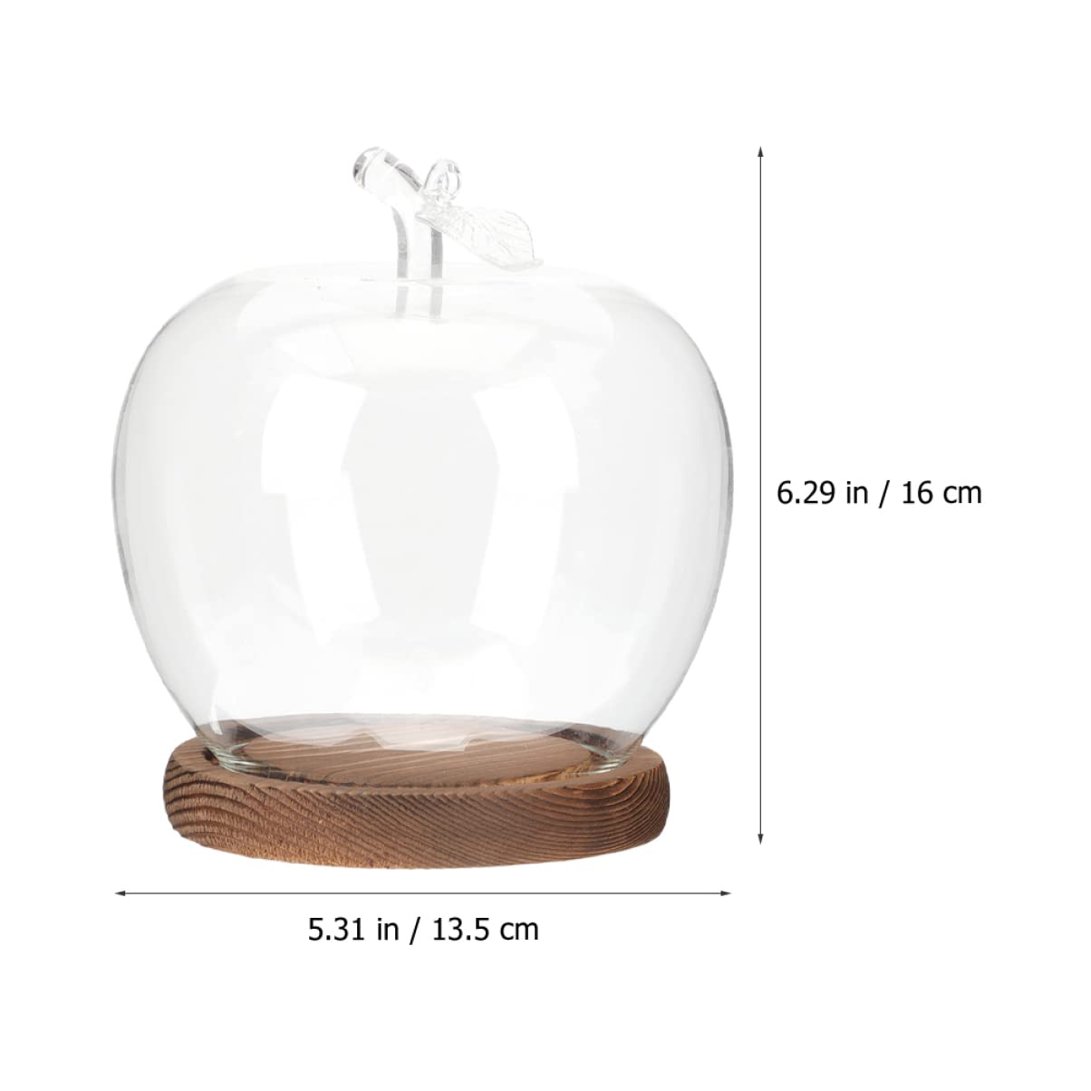 DOITOOL desert dome provides a dramatic display for mini landscapes.