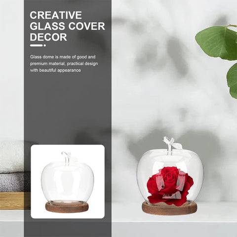 DOITOOL desk office decor dome adds a modern touch to workspaces.