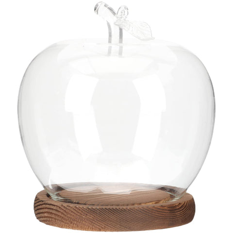DOITOOL glass dome cover over preserved flowers for elegant desk decor.