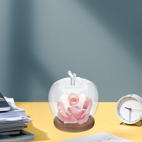 DOITOOL micro-landscape dome with figurines enhances a desktop vignette.