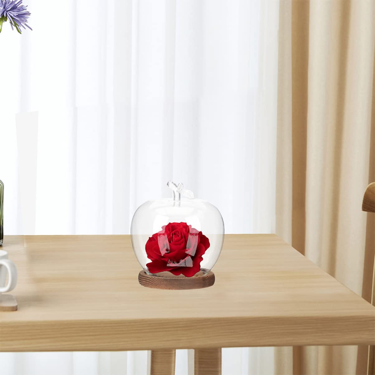DOITOOL preserved flower adornment creates a stylish table centerpiece.