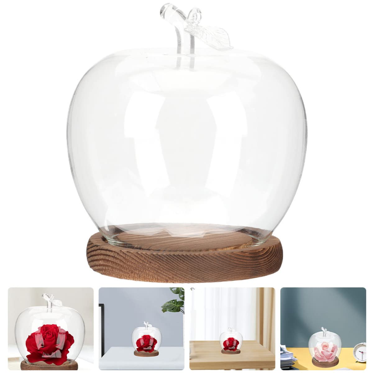 DOITOOL succulents dome terrarium for compact home decor.