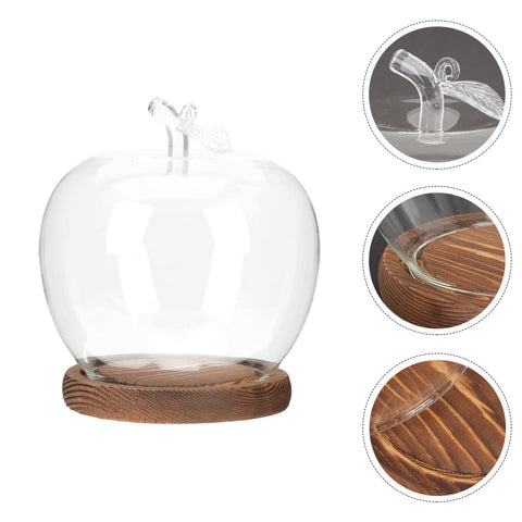 DOITOOL wooden-base dome stand offers stable placement on tables.