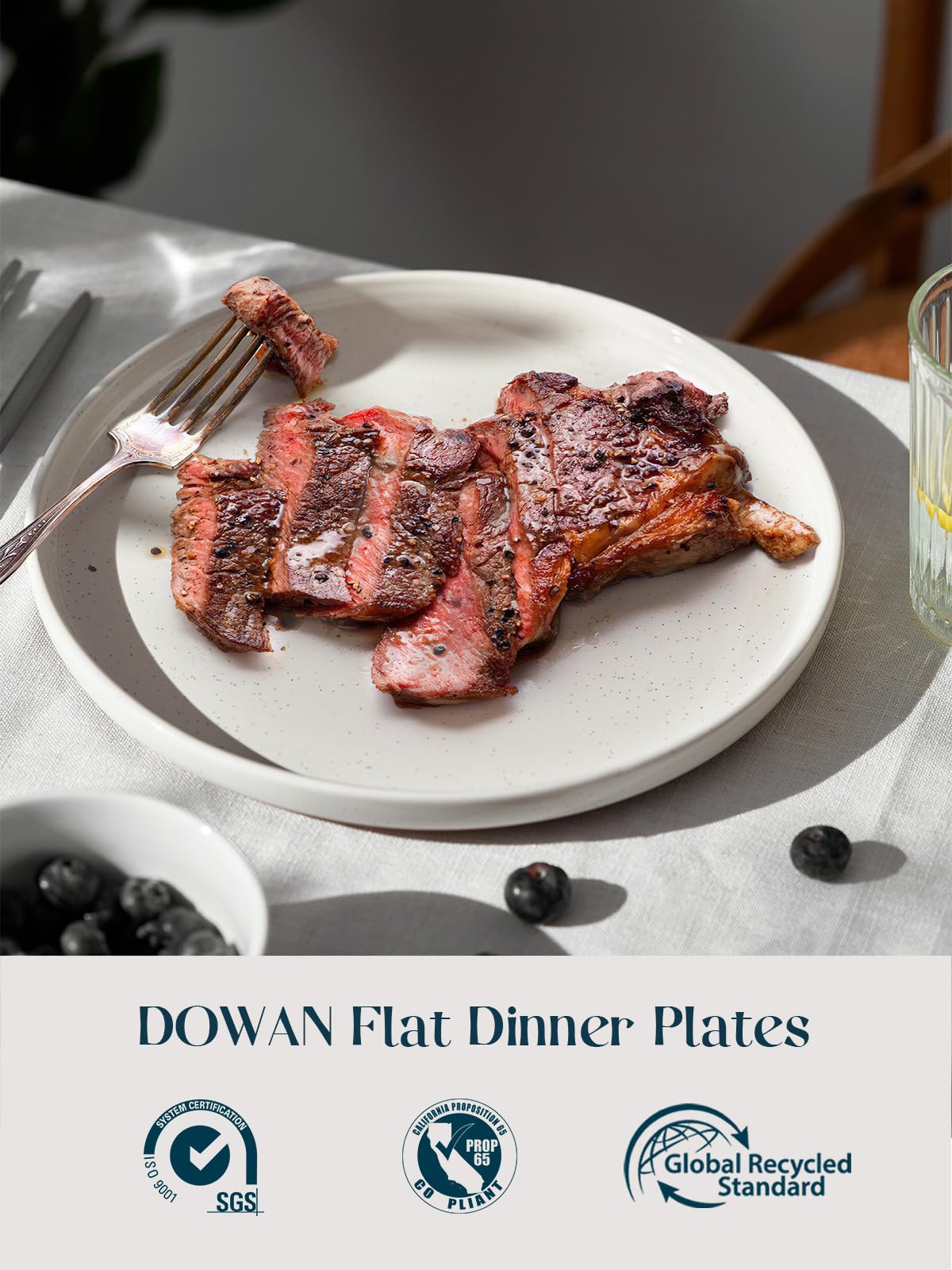 DOWAN 10.5-inch dinner plate side profile highlights ergonomic rim for easy handling.