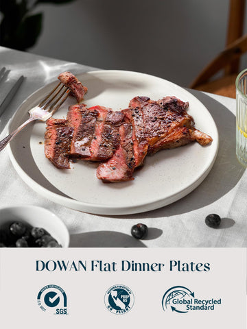 DOWAN 10.5-inch dinner plate side profile highlights ergonomic rim for easy handling.