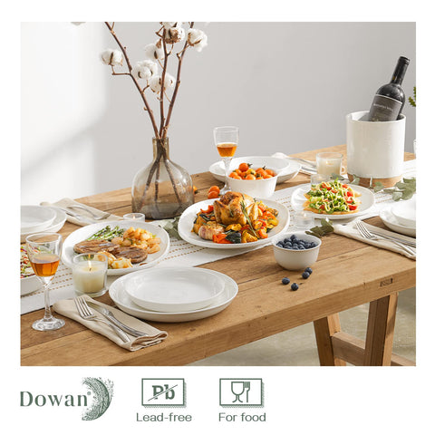 DOWAN porcelain serving platter safe for oven and microwave