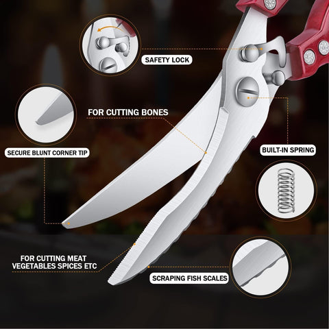 Dream Reach kitchen scissors with ergonomic seahorse arc handle for comfort and control.