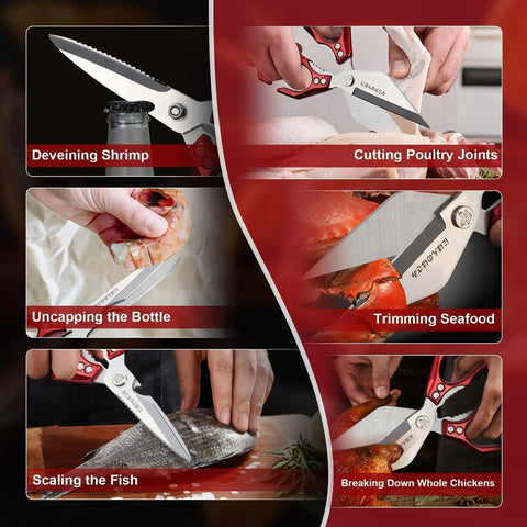 Dream Reach kitchen shears broad-serrated edge aids quick cracking and cutting tasks.