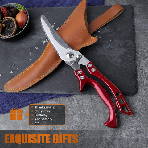 Dream Reach multipurpose kitchen scissors for poultry, fish, and general tasks.