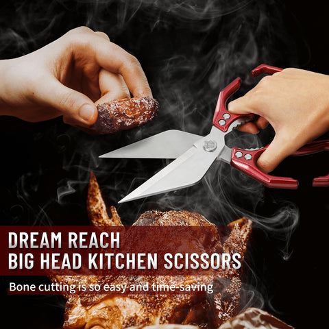 Dream Reach Poultry Shears blade closeup highlighting razor-sharp blades.