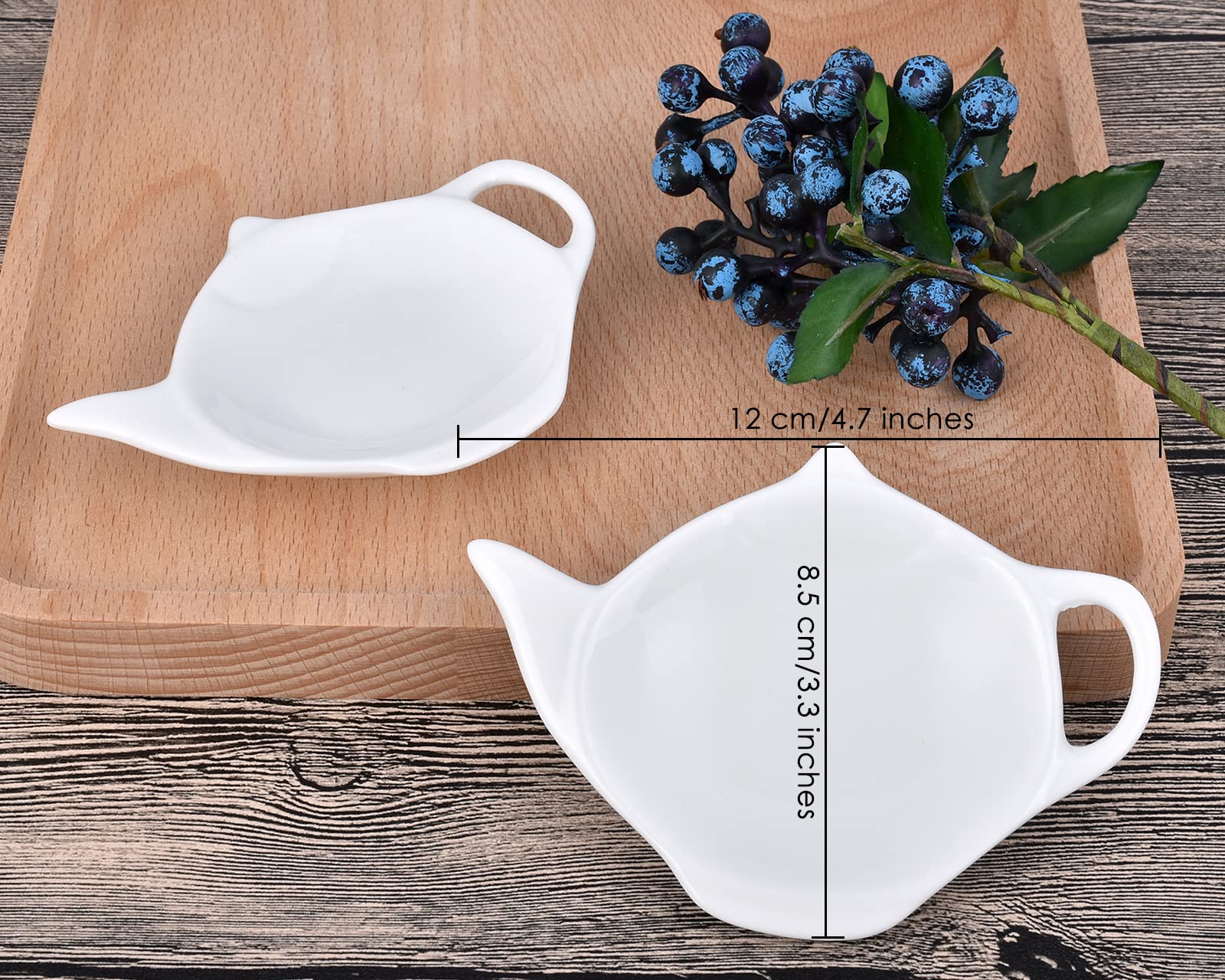DS. DISTINCTIVE STYLE appetizer plate doubles as sauce dish.