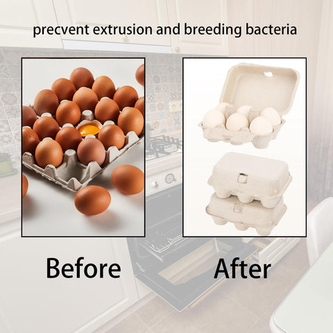 Dubtnion egg carton front clasp keeps eggs safe during transport.