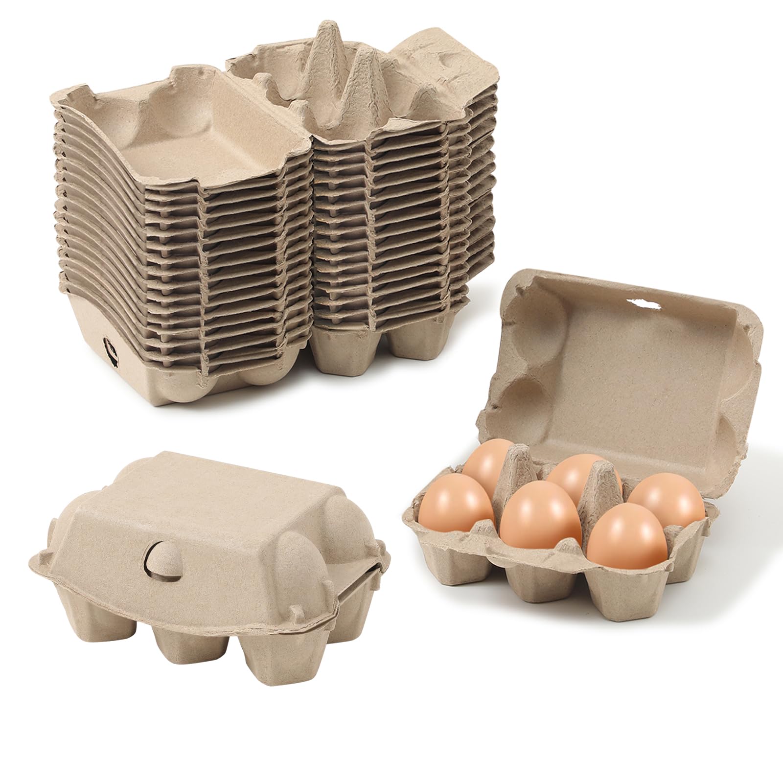 Dubtnion egg carton with six-eggs securely stored for fresh storage.