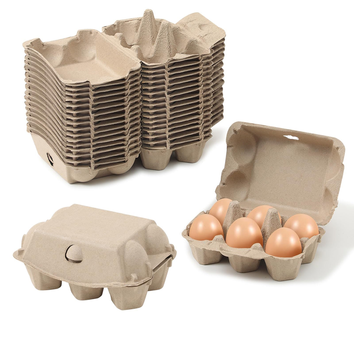 Dubtnion egg carton with six-eggs securely stored for fresh storage.
