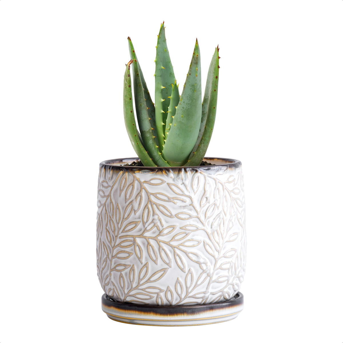 D'vine Dev 4-inch embossed leaves planter for indoor greenery with smoked-white glaze.