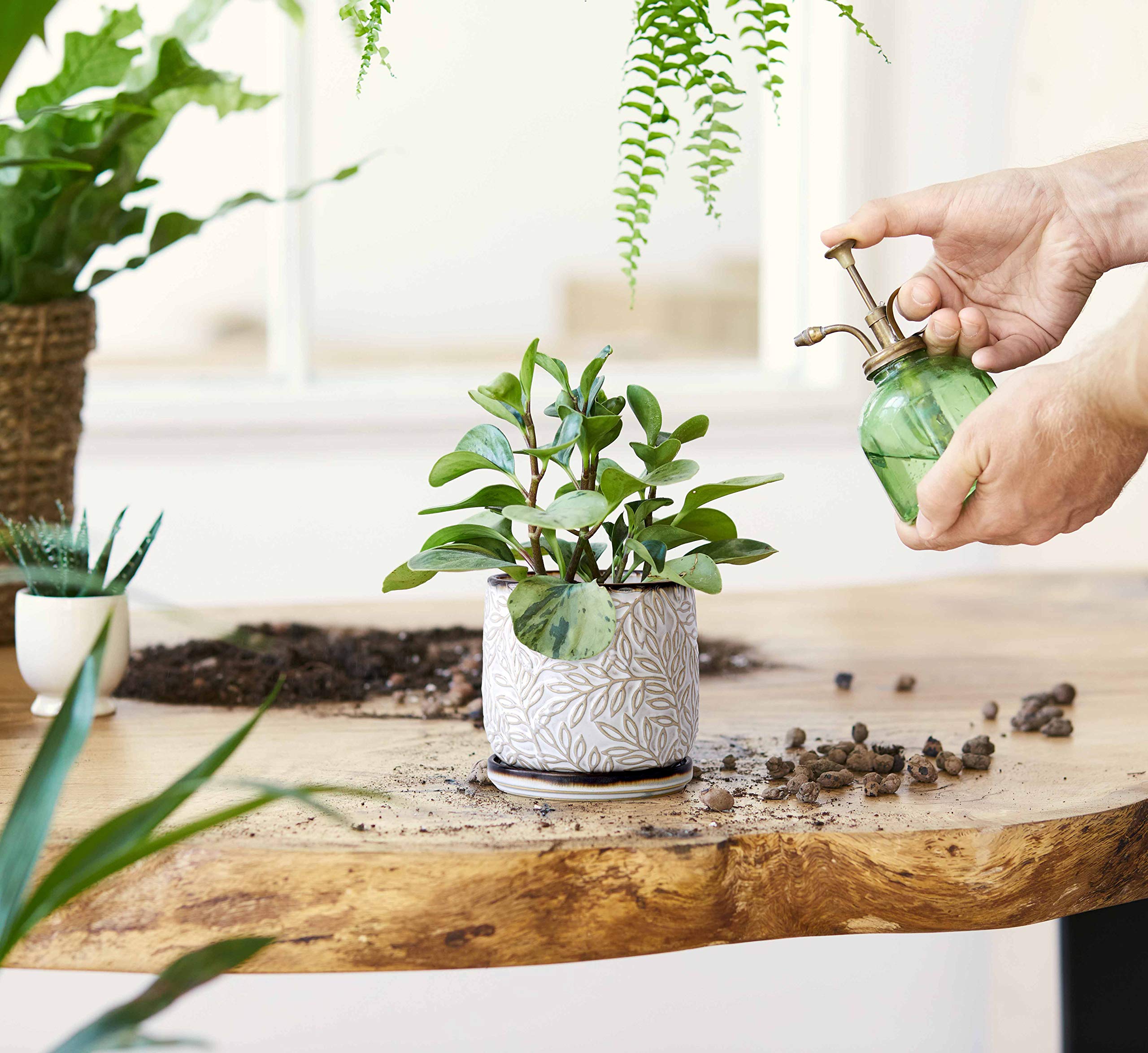 D'vine Dev planter with drainage hole supports proper watering for small plants.