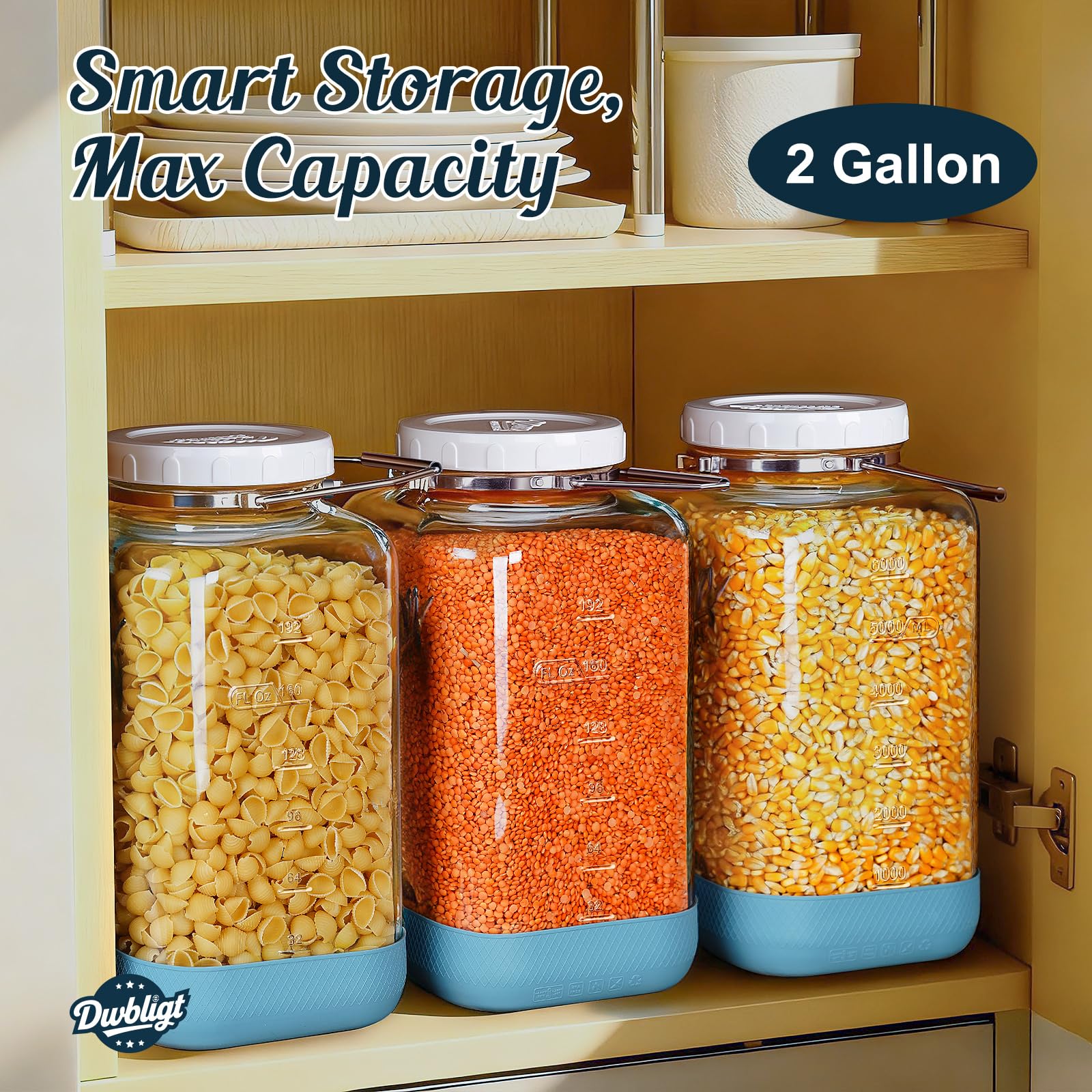 Two-pack of large glass jars for bulk storage solutions.