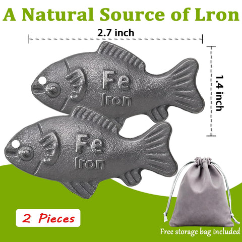 DWETG Iron Fish used with tea or beverages for natural iron infusion.