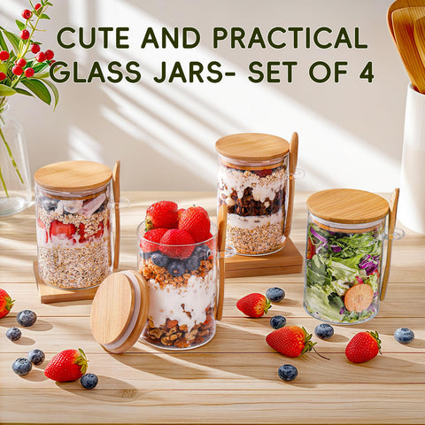 DWTS Danwitesi airtight glass jar offers secure storage and no leaks