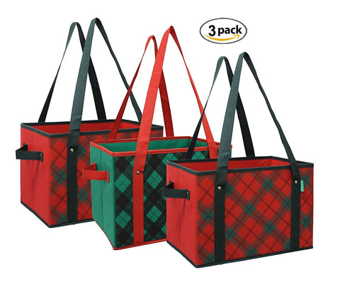 Earthwise Deluxe bag in trunk demonstrates upright loading stability