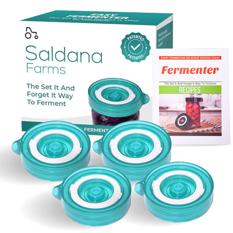 Easy Fermenter wide-mouth lid kit on jar ready for fermentation