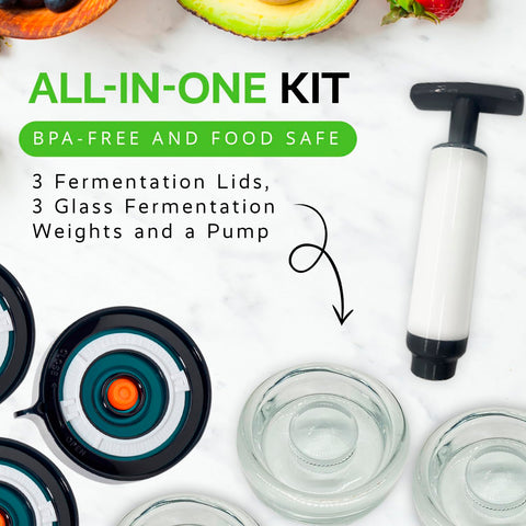 Easy Fermenter glass weights keep vegetables submerged for even brining
