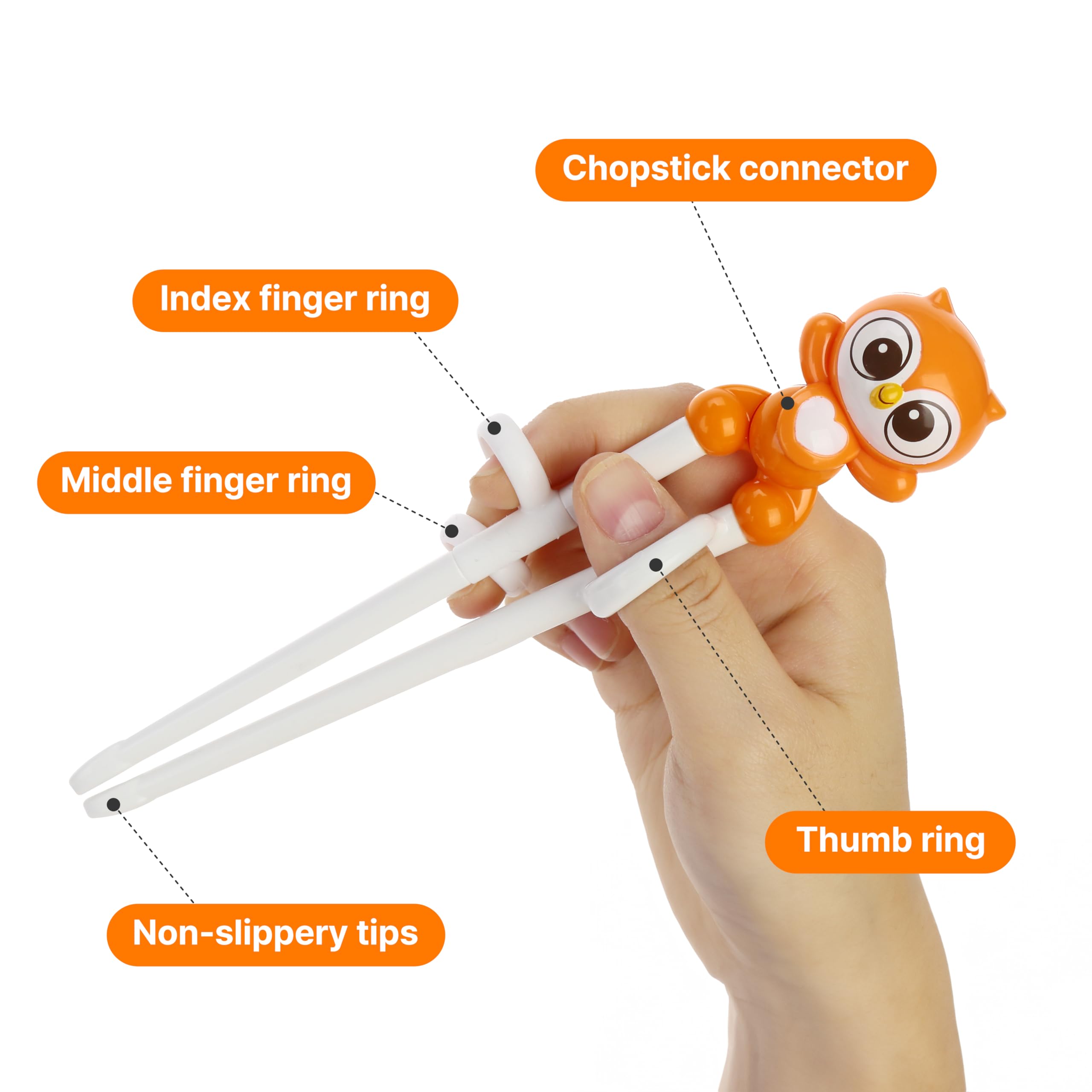 Edison Friends beginner-use setup supports easy start for first-time chopstick users.