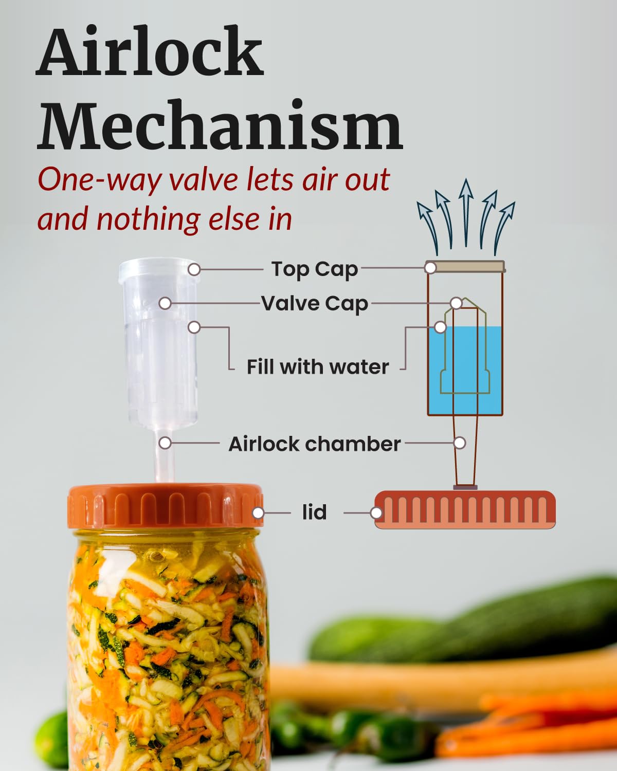 Elementi silicone flip-top grommet reusable for easy fermentation and storage
