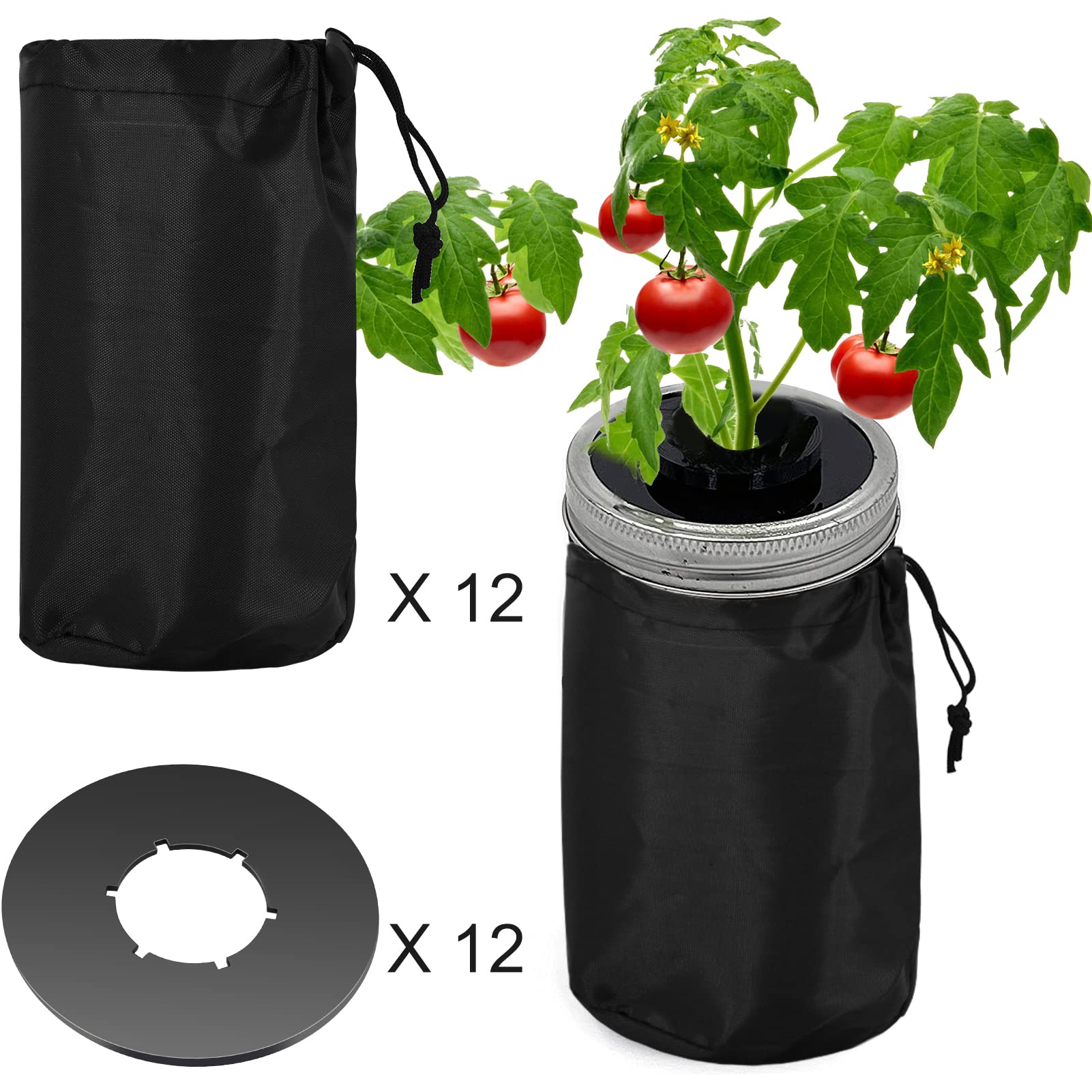 Emsiok assembly with adjustable buckle provides quick, secure lid fitting.