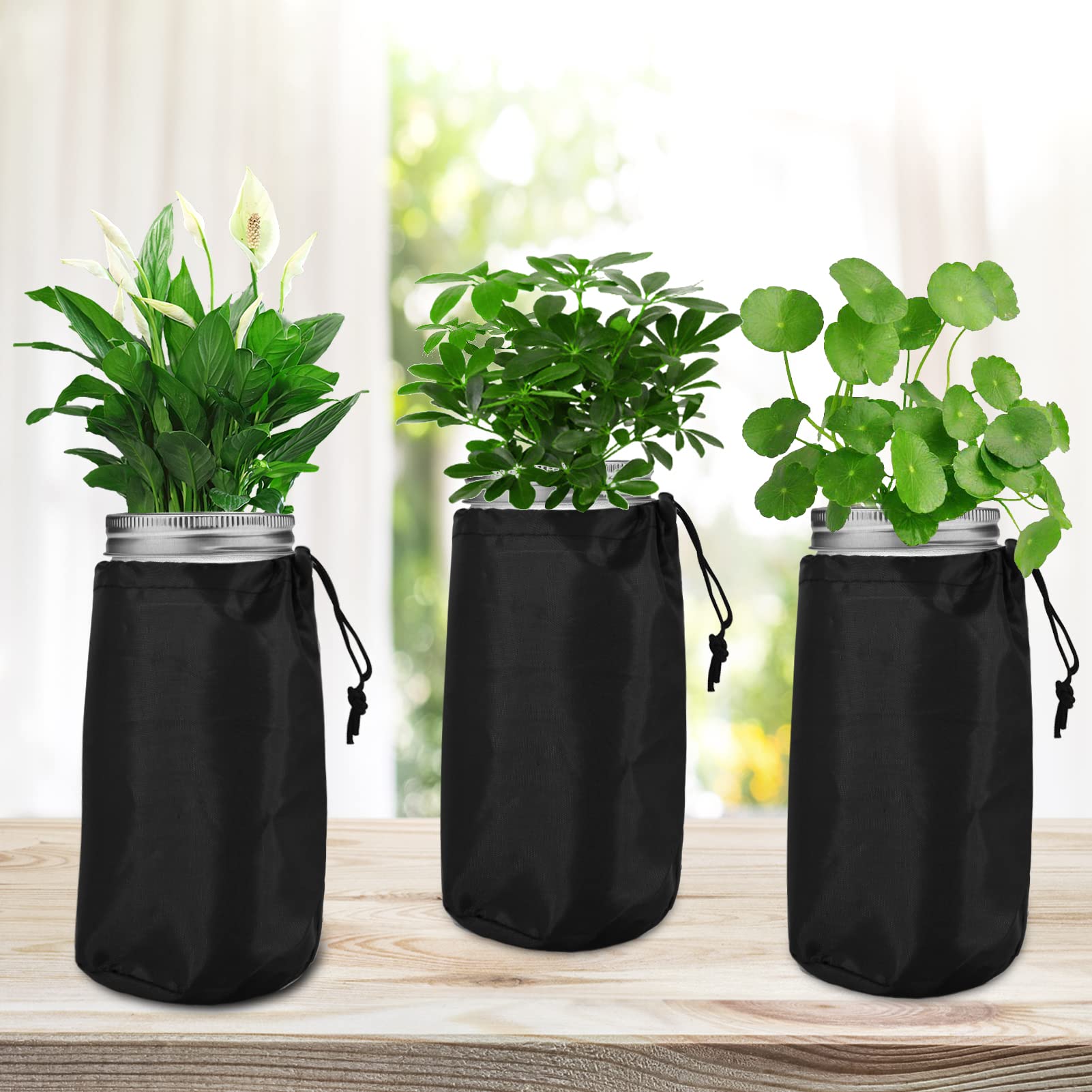 Emsiok 12-pack kit simplifies Kratky setups across multiple jars.