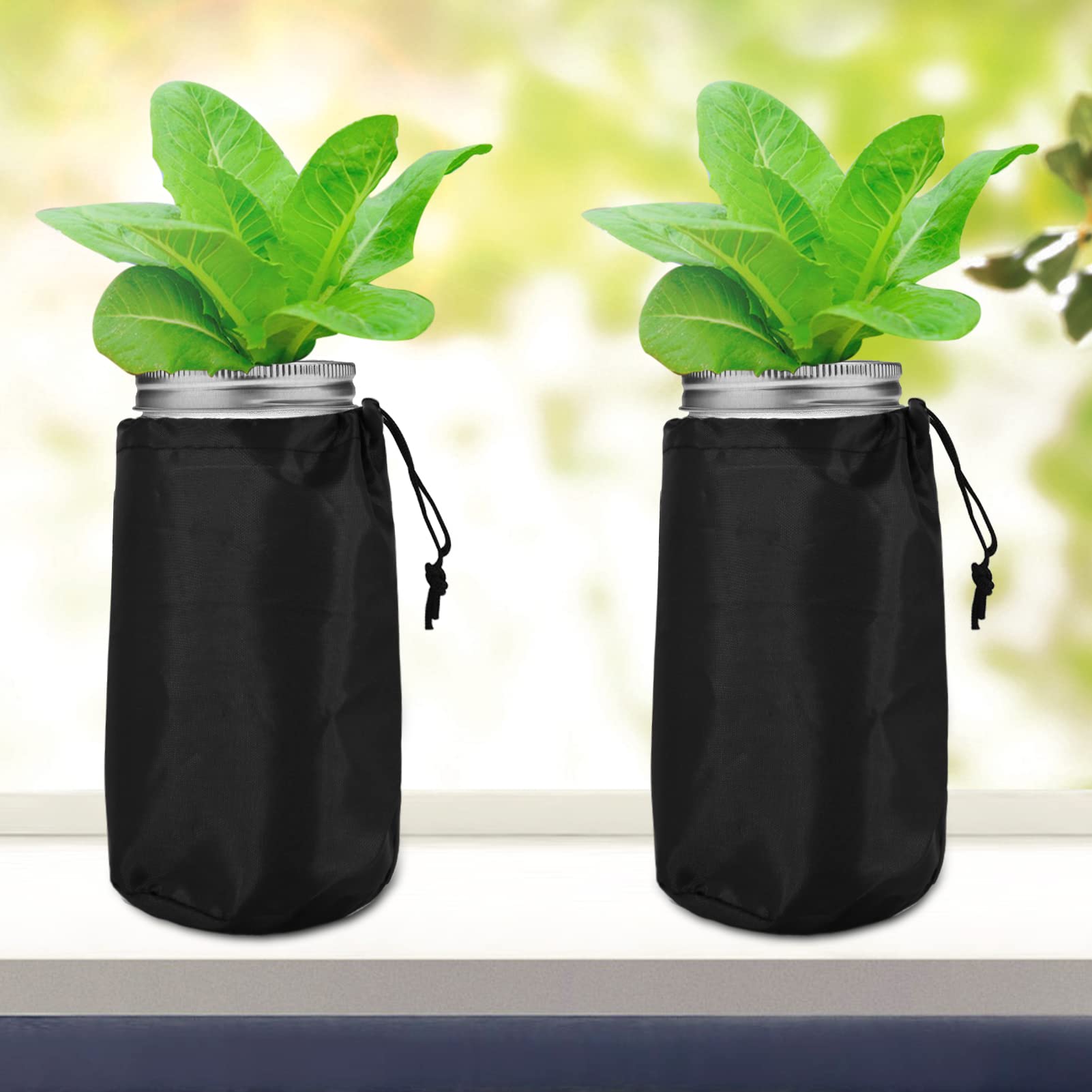 Emsiok hydroponics setup with mason jars enables simple, passive growth.