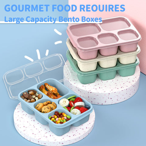 Enstphjoy Bento Box five-compartment layout for organized meals.