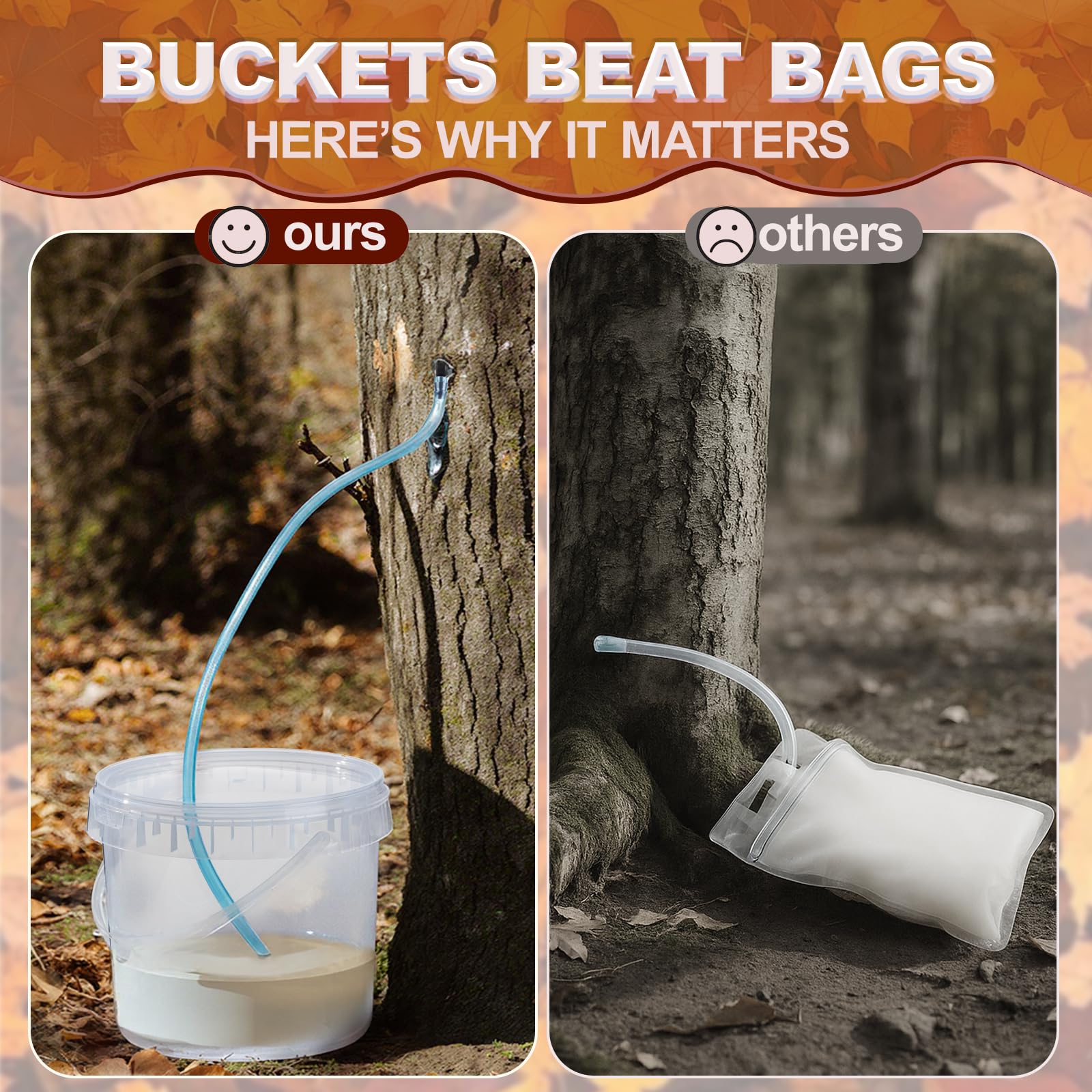 Epoacht taps provide steady harvest potential during maple season.