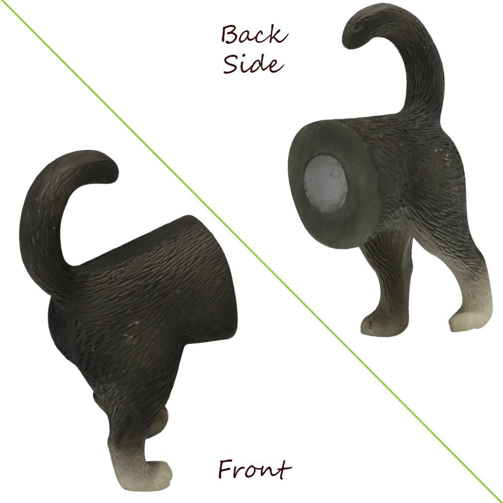 Evelots cat butt magnets gift-ready for cat lovers and friends.