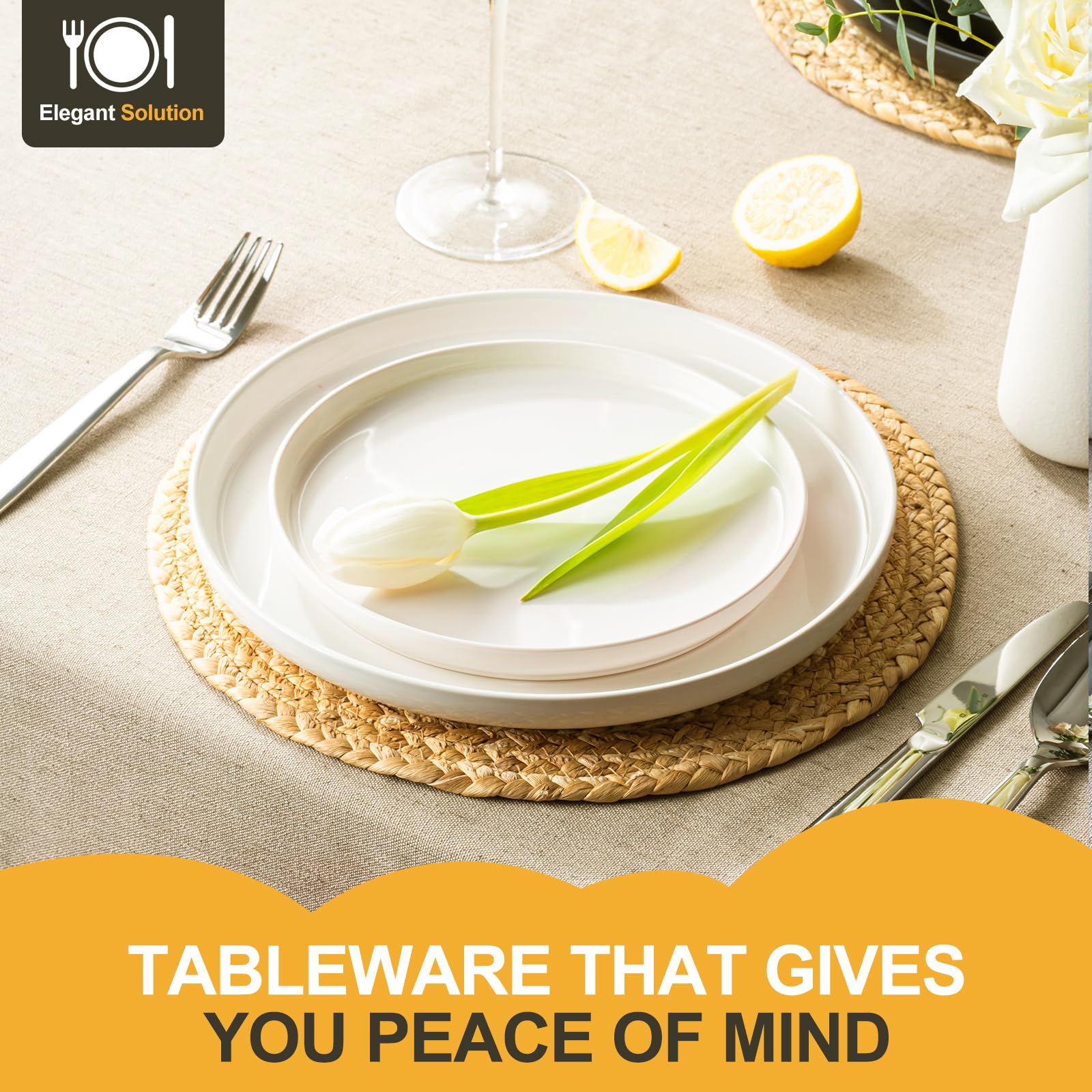 EWFEN 10.25-inch dinner plates with a clean glaze finish.
