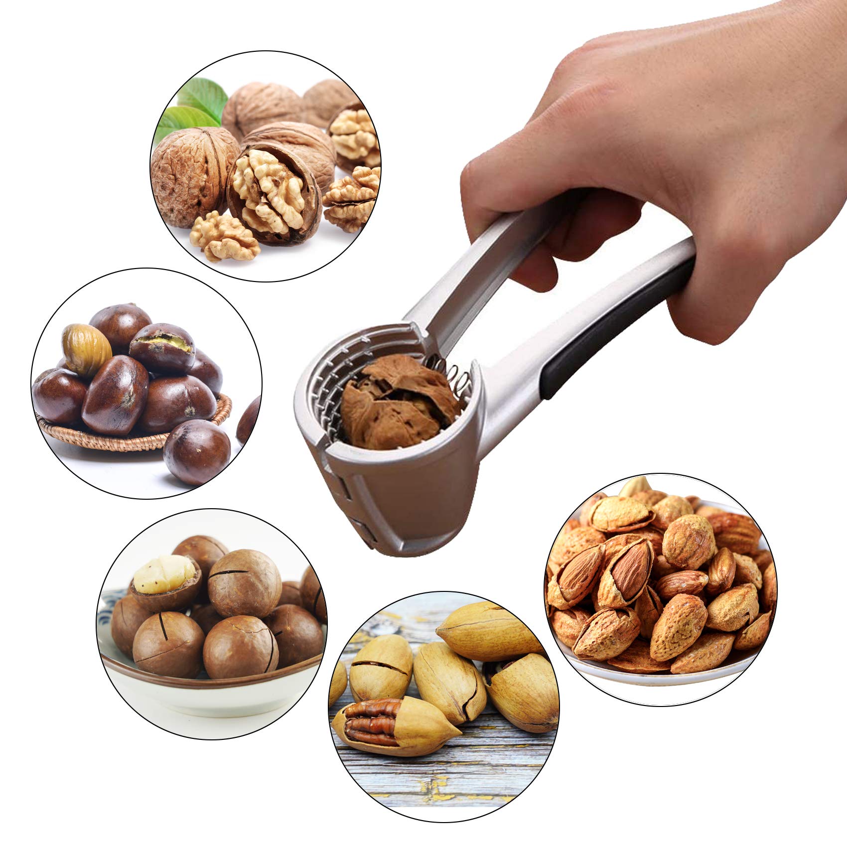 EZiKitchen multipurpose nut cracker ideal for walnuts, pecans, hazelnuts, and macadamias.