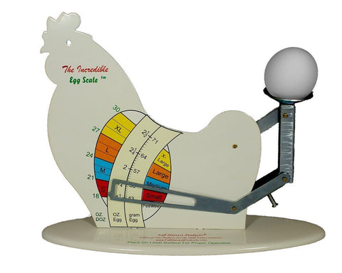 Fall Harvest Products' incredible-egg-scale offers precise weighing for eggs and stylish kitchen decor.