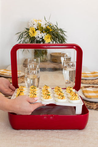 Fancy Panz Egg Trayz with lid closed for party-ready presentation.