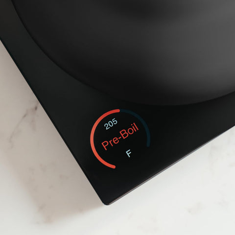 Fellow Corvo EKG Pro wide-spout for quick, controlled pours