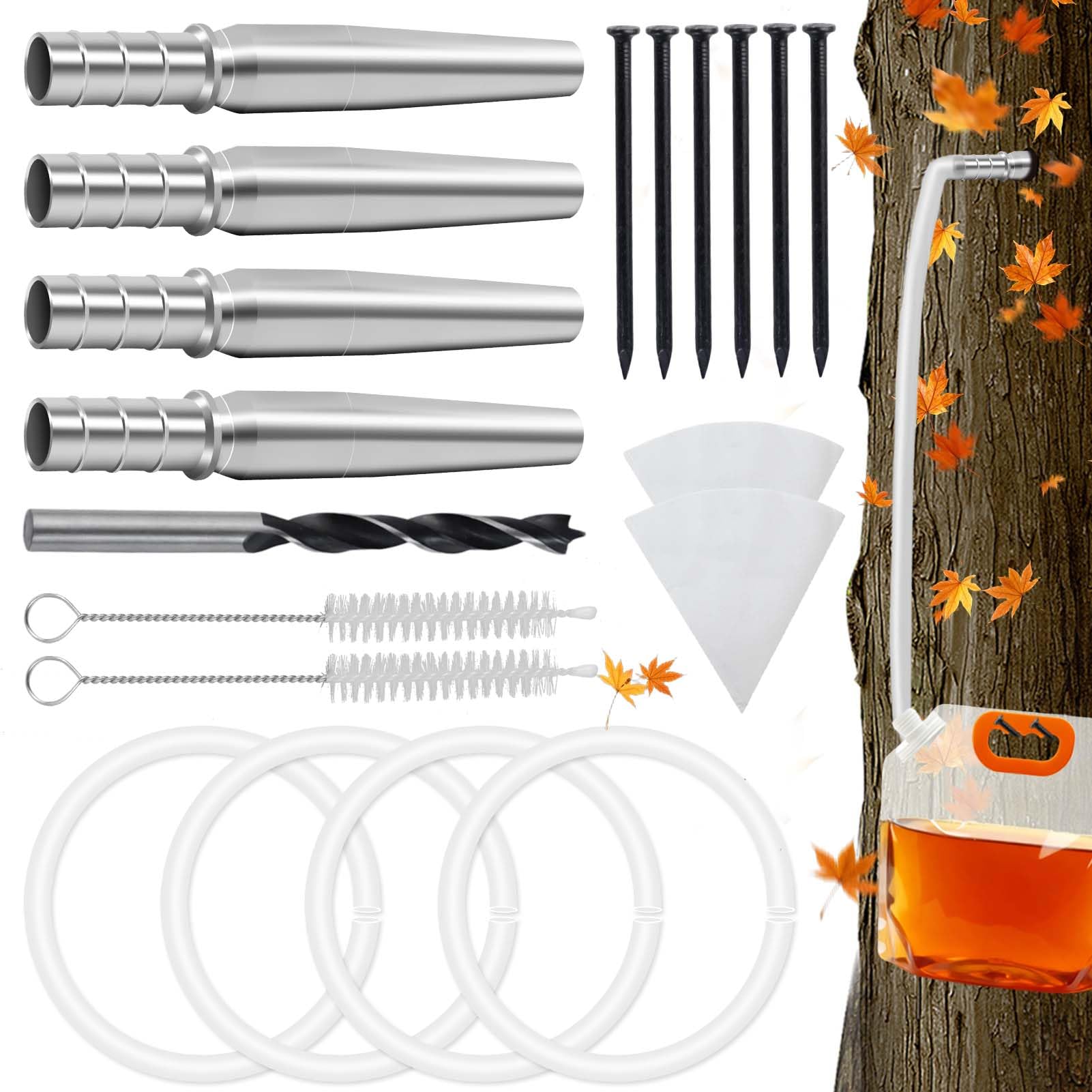 Feoang maple taps: durable stainless steel for repeated harvests.