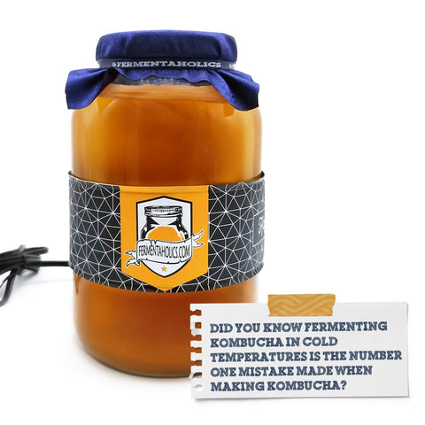Adhesive thermometer on the Fermentaholics Kombucha Heater enables precise fermentation temperature monitoring.