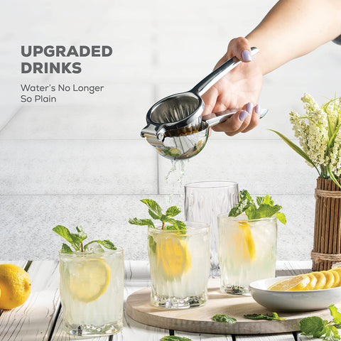 FineDine seed-filter insert catches pulp for seed-free juice.