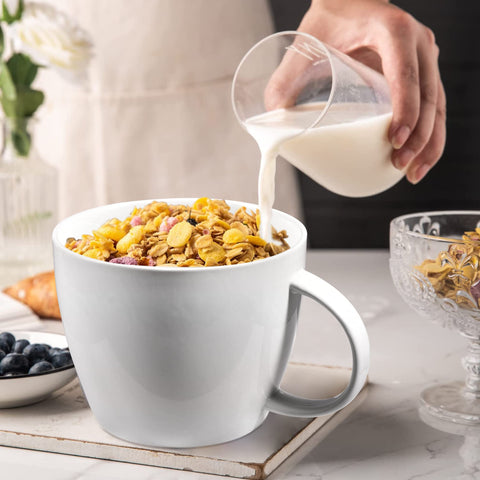 fMSDD big mug close-up highlights easy lifting with a strong handle.